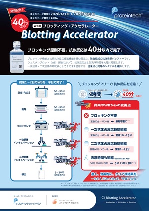 【コスモ・バイオ】プロテインテック社 発売記念！Blotting Accelerator 40％OFFキャンペーン